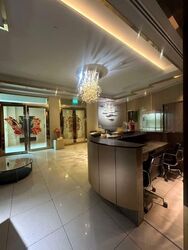 Furama Riverfront (D3), Retail #600120521